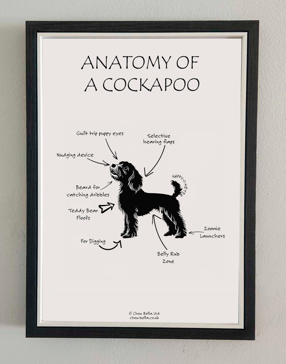 Framed poster titled 'Anatomy of a Cockapoo' on a white wall.