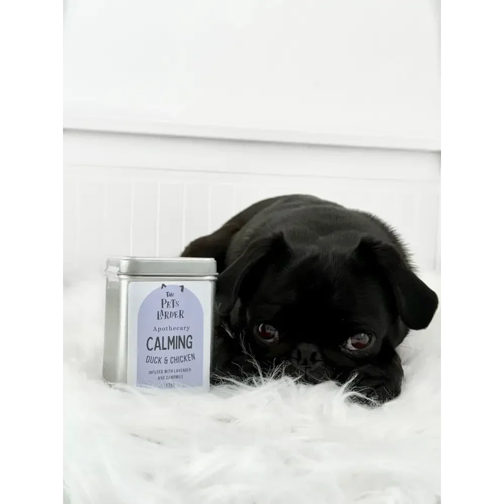 Black puppy lying next to a tin labeled 'Calming' by The Pet's Broder on a white background