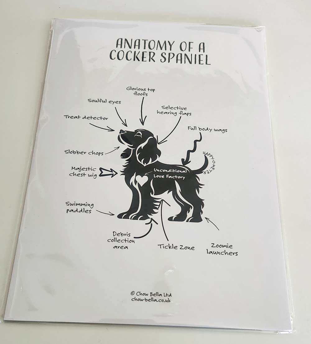 Tea towel with a humorous diagram of a Cocker Spaniel's anatomy on a white background.