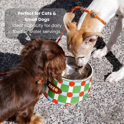 Detachable Ergonomic Metal Pet Food Bowl