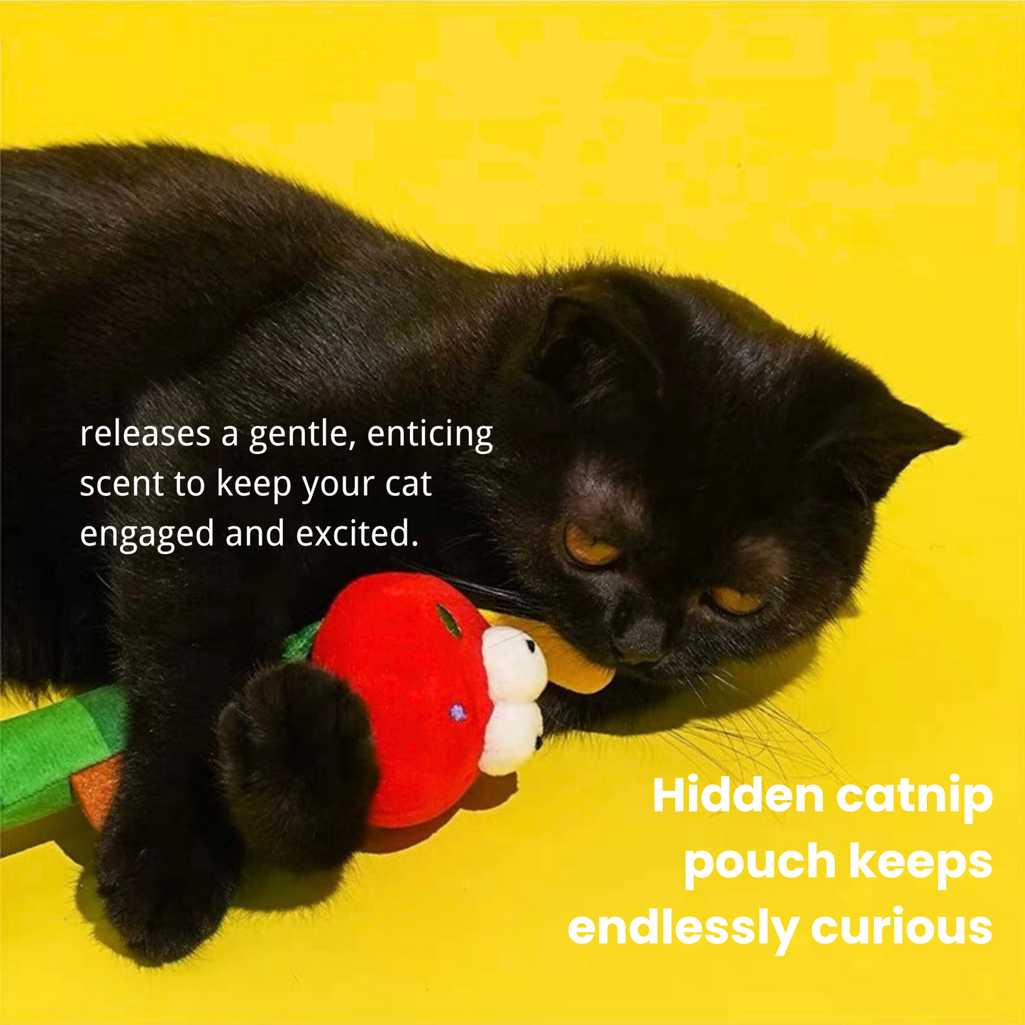 Caterpillar Teaser Wand for Cats