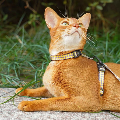 zeze Plaid Cat Harness & Leash Set