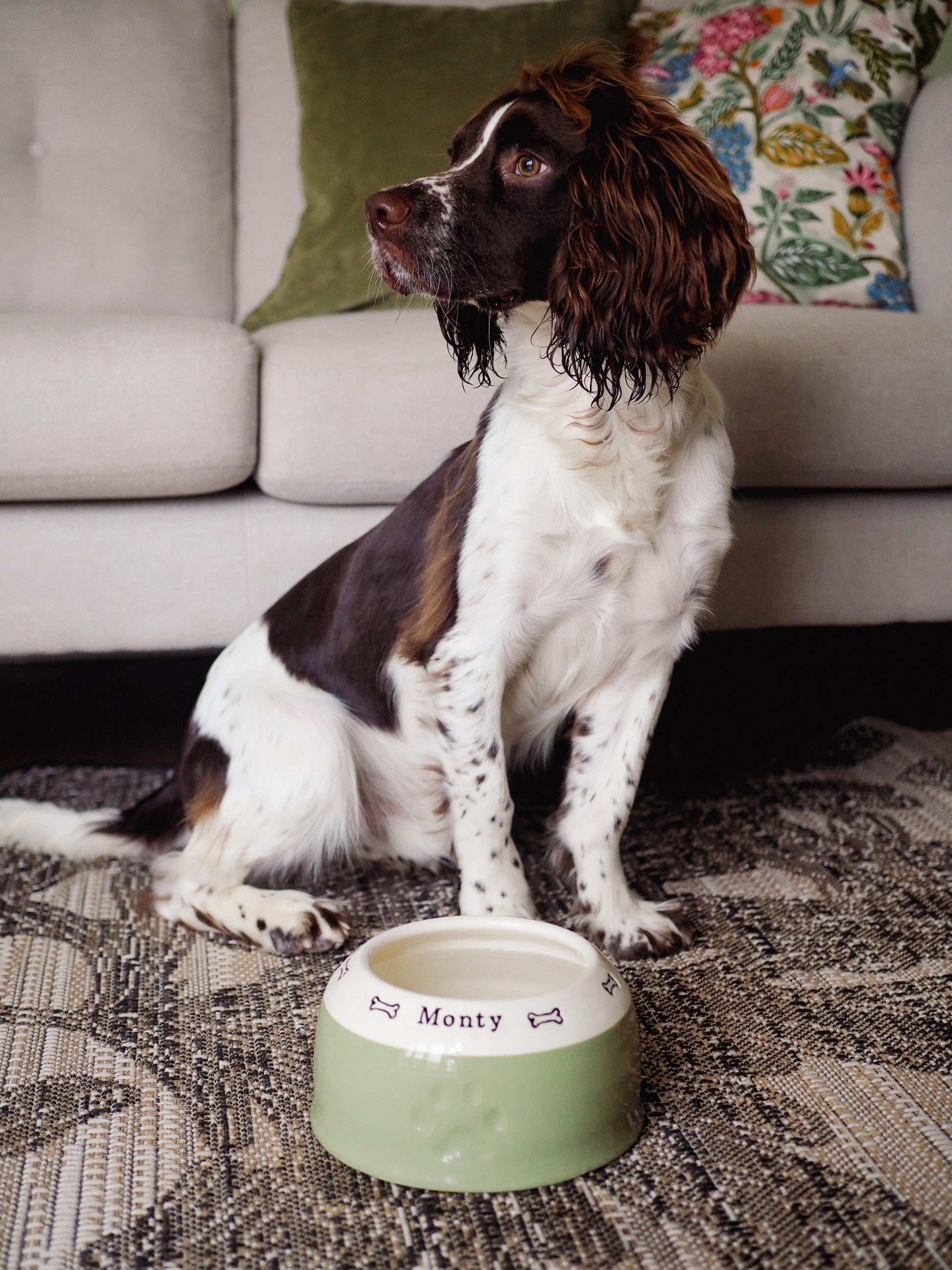 Dog sitting on a rug with a personalized dog bowl in front of it, in a living room setting.