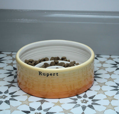 Ceramic pet bowl with 'Rupert' on a patterned floor