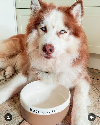 Husky dog with a white bowl labeled 'Hunter' on a tiled floor.