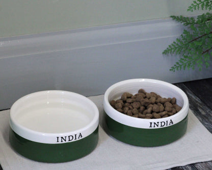 Two green pet bowls with white interiors, one containing water and the other with kibble, on a light surface.