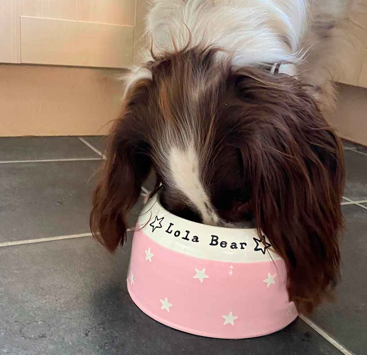 Dog with head inside a pink bowl labeled 'Lola Bear' on a kitchen floor.