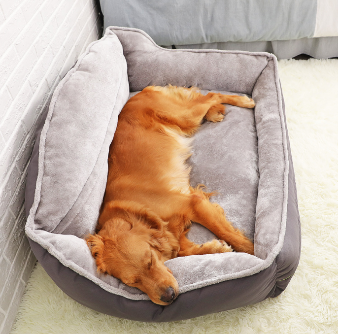 Dog sleeping in a gray pet bed on a light green carpet.