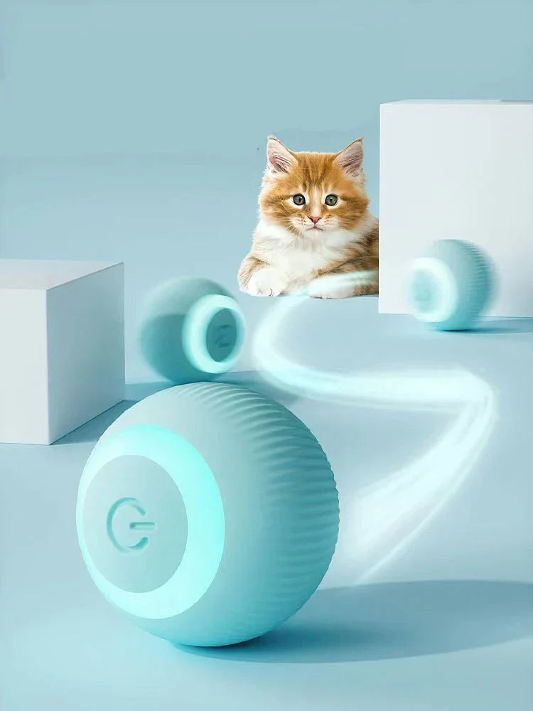 Turquoise pet toy with a cat on a light blue background