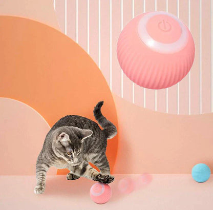 Cat playing with a pink interactive ball on a colourful background