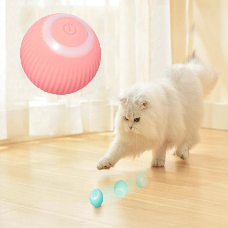 Pink and blue interactive pet toys on a wooden floor with a white cat playing with them.