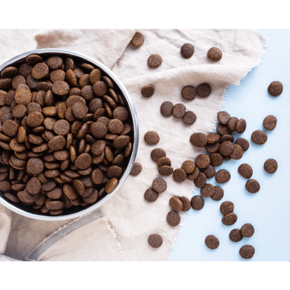 Dog food in a bowl with scattered kibble on a white and blue background