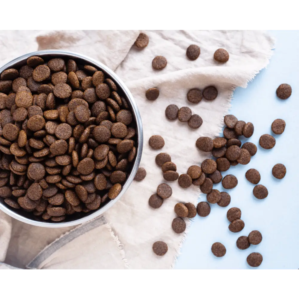Dog food in a bowl with scattered kibble on a white and blue background