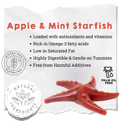 Red starfish with health benefits text on a white background