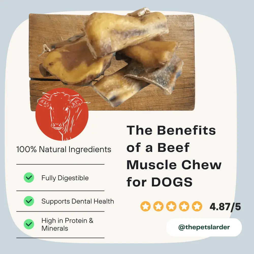 Beef muscle chews on a wooden board with text about benefits for dogs on a light blue background.