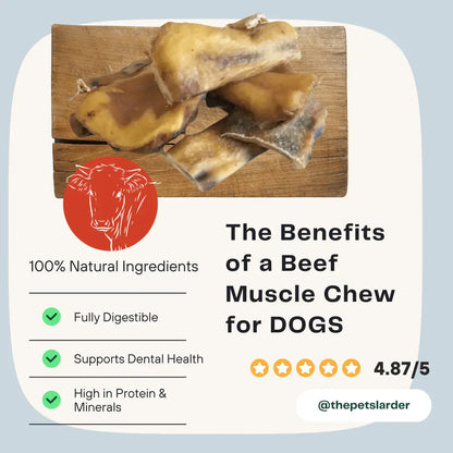 Beef muscle chews on a wooden board with text about benefits for dogs on a light blue background.