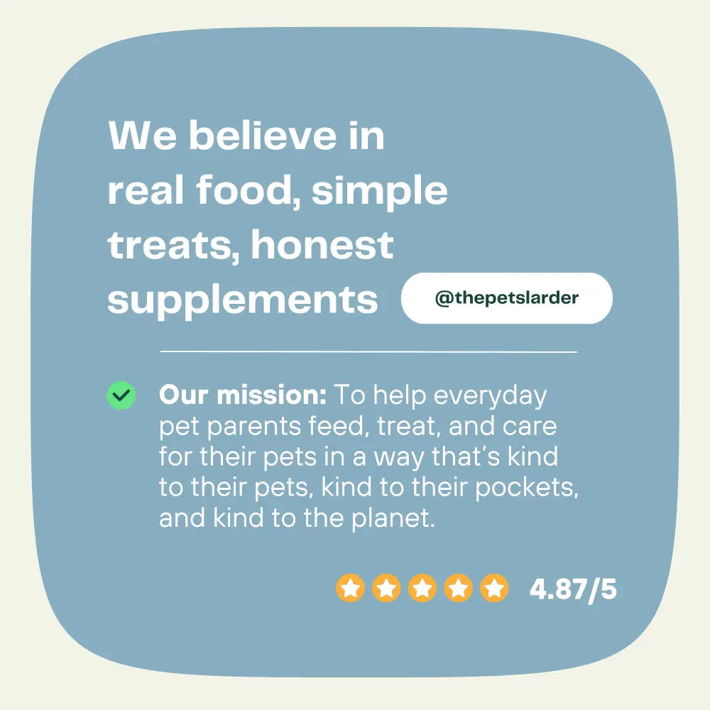 Promotional graphic for a pet care brand with text about real food, simple treats, honest supplements, and their mission.
