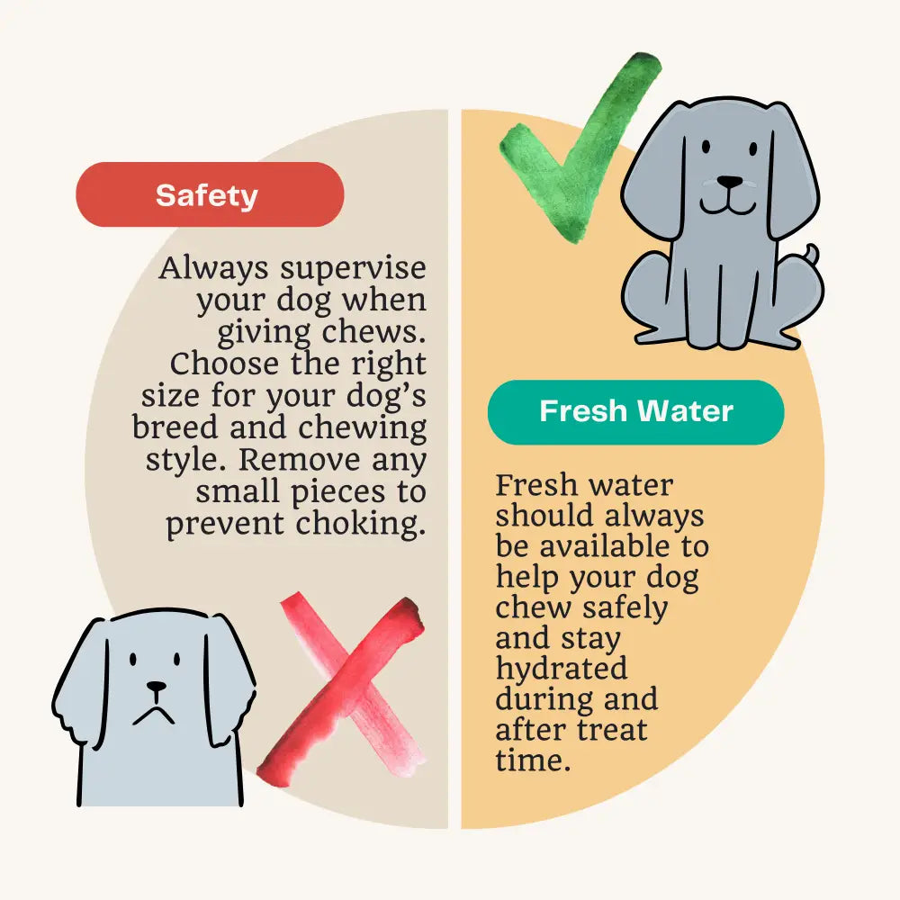 Illustration with tips for dog safety and hydration, featuring a dog and text on a white background.
