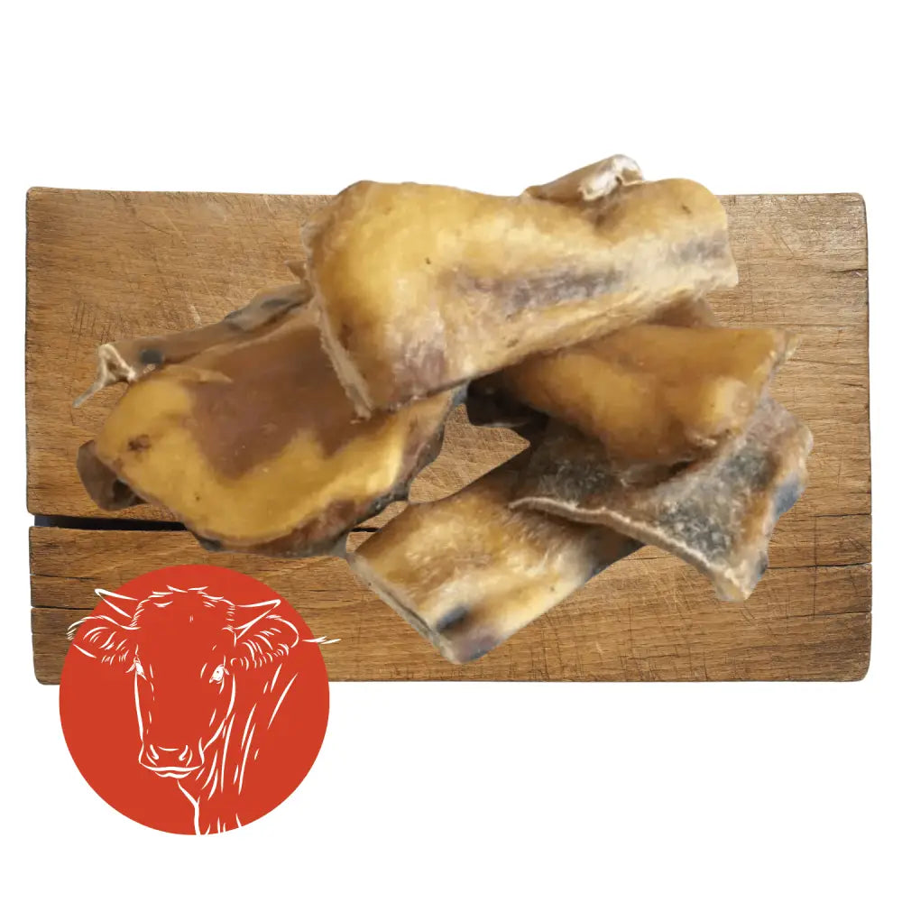 Dog bones on a wooden board with a red circle featuring a dog's face.