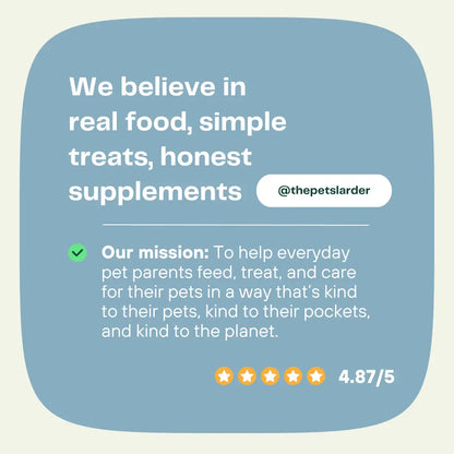 Promotional graphic for a pet care brand with text about real food, simple treats, honest supplements, and their mission.