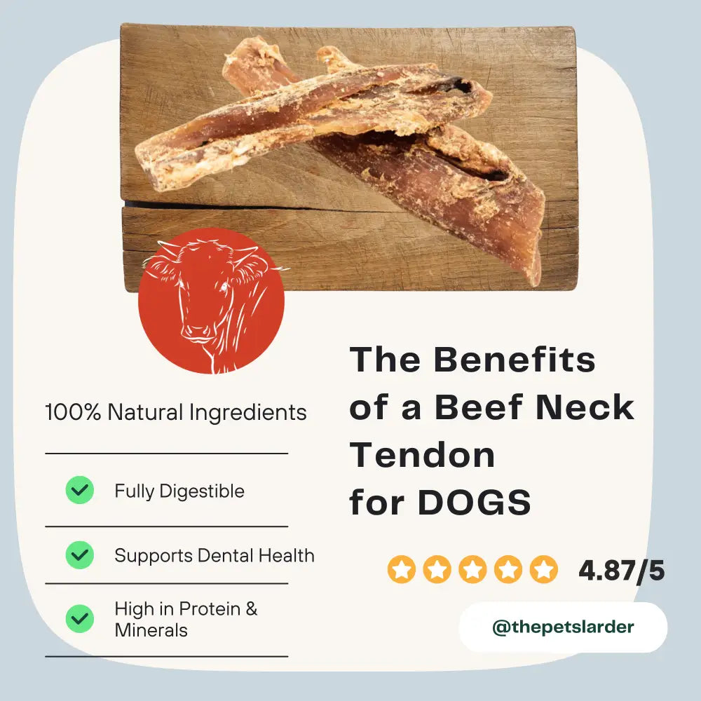 Beef neck tendon on a wooden board with benefits listed for dogs on a light blue background.