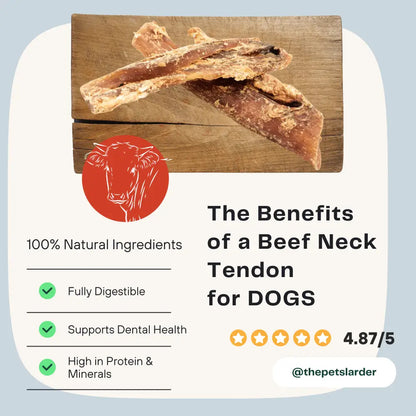 Beef neck tendon on a wooden board with benefits listed for dogs on a light blue background.