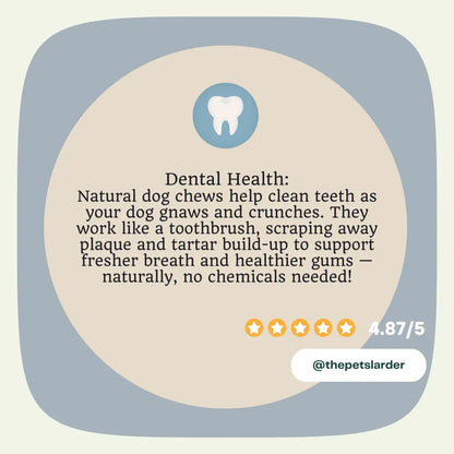 Advertisement for natural dog chews with dental health benefits, featuring a tooth icon and rating.