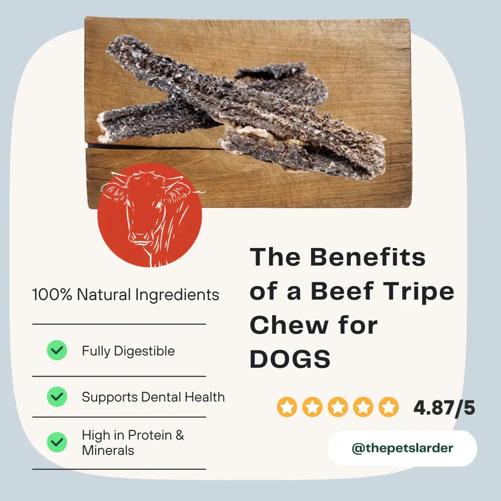 Beef tripe chews on a wooden board with text about benefits on a light blue background