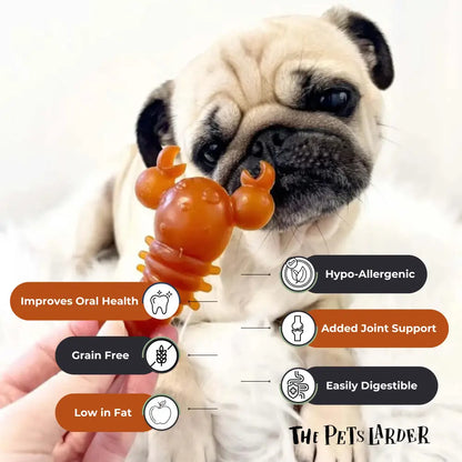Dog holding a chew toy with features highlighted and 'The Pet's Larder' branding.