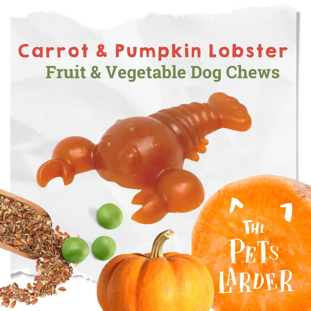 Dog chew treat shaped like a lobster with carrot and pumpkin elements, branded 'The Pet's Larver'.