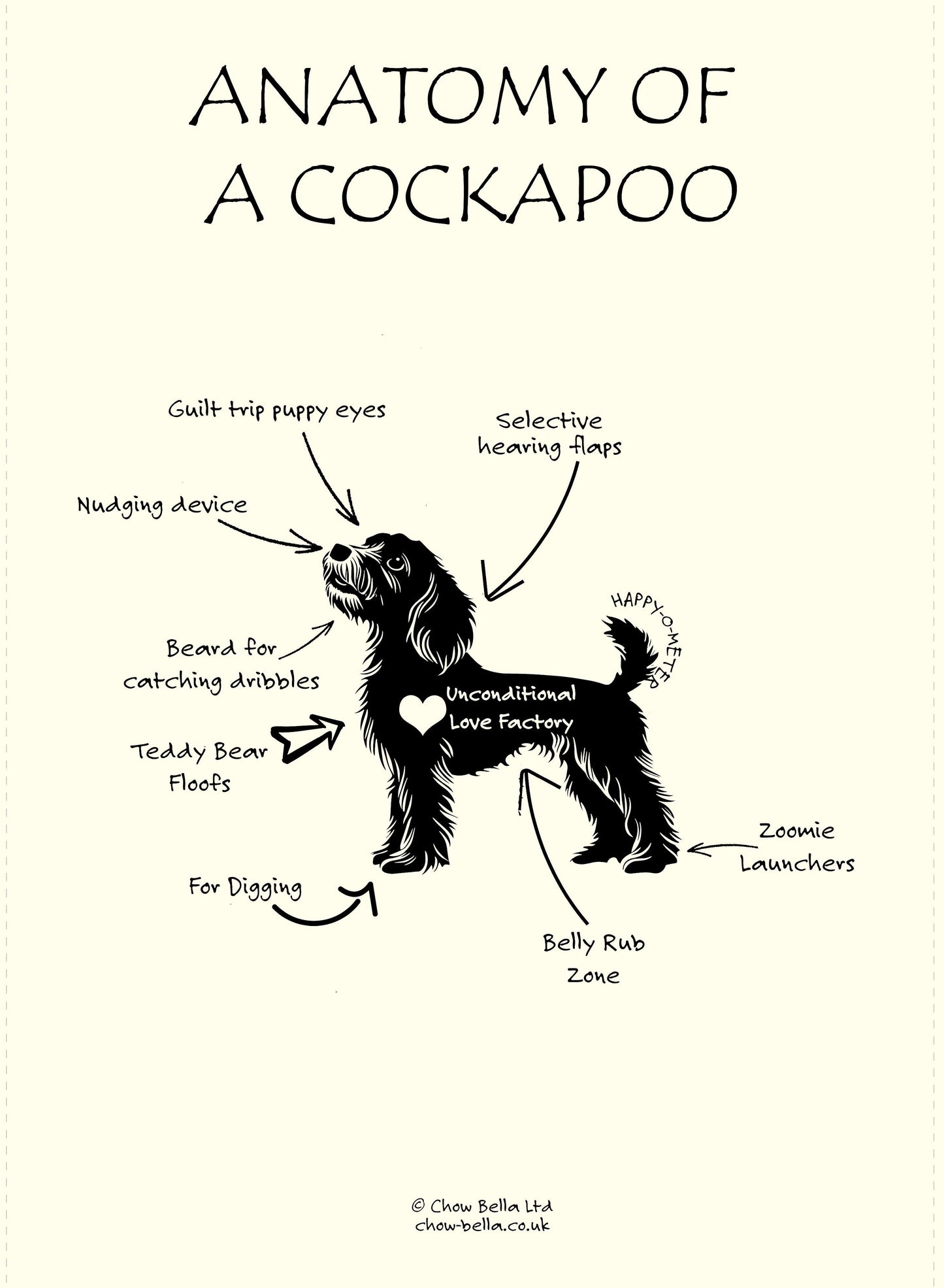 Diagram of a cockapoo with labeled features on a white background