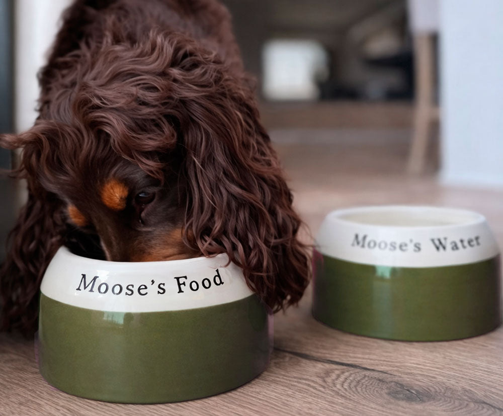 Dog drinking from a green 'Moose's Food' bowl with another bowl labeled 'Moose's Water' in the background.