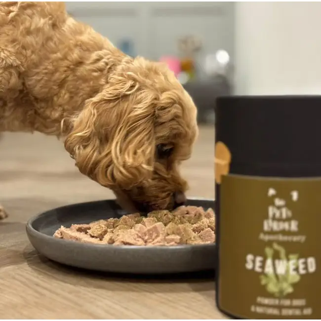 Dog eating from a bowl with a container of 'The Pet Pantry' seaweed product in the foreground.