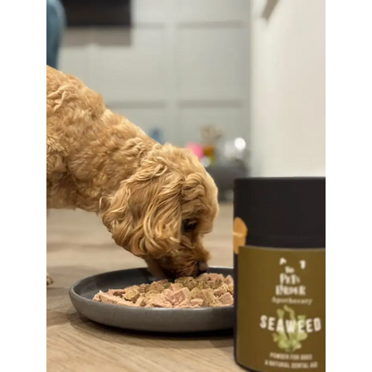 Dental Seaweed Powder for Dogs: Plaque Removal