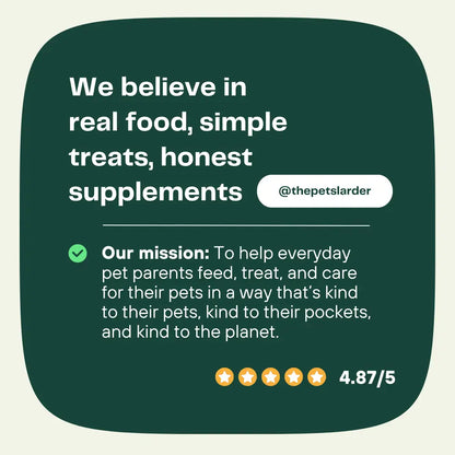 Dental Seaweed Powder for Dogs: Plaque Removal