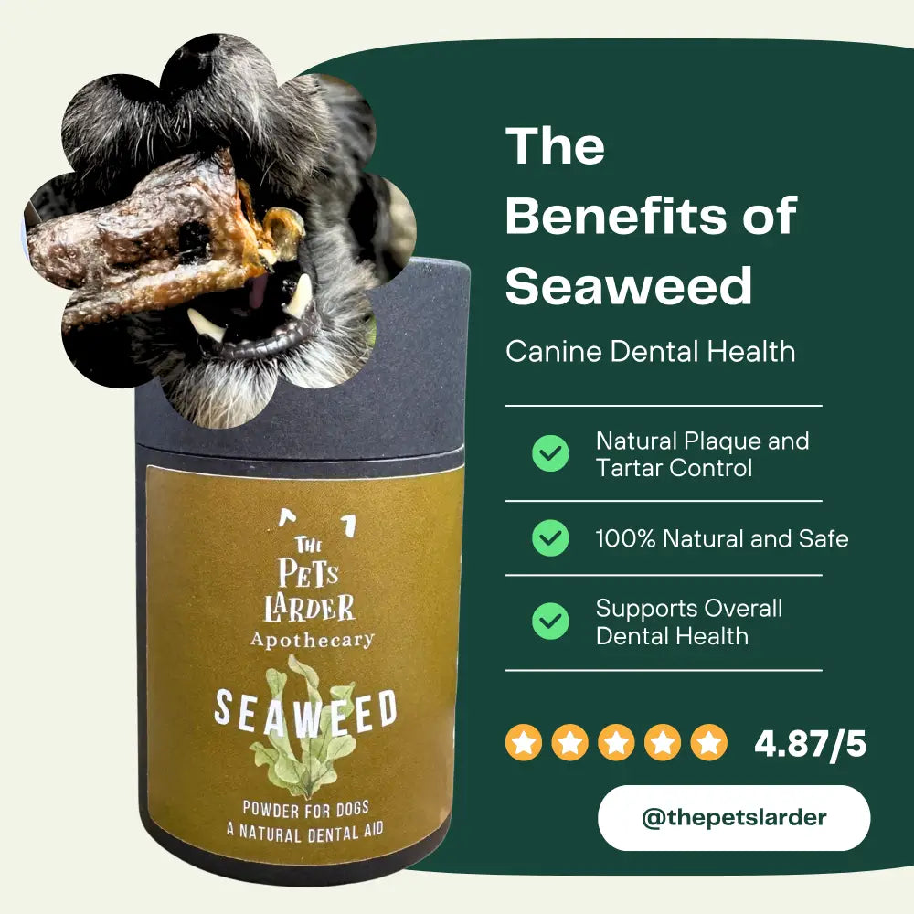 Seaweed powder for dogs with a dog's paw and text about its benefits on a green background