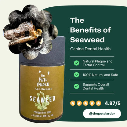 Seaweed powder for dogs with a dog's paw and text about its benefits on a green background