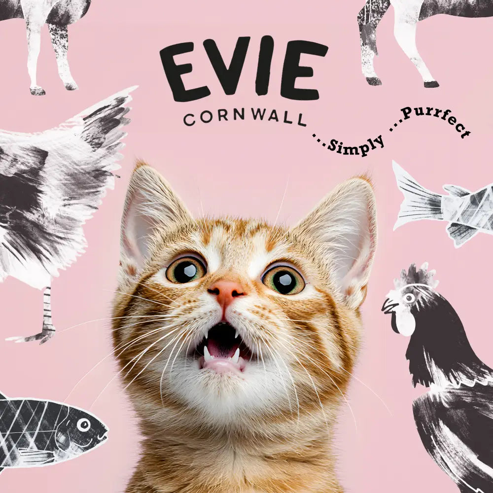 Cat with a surprised expression on a pink background with animal illustrations and 'EVIE CORNWALL' text.