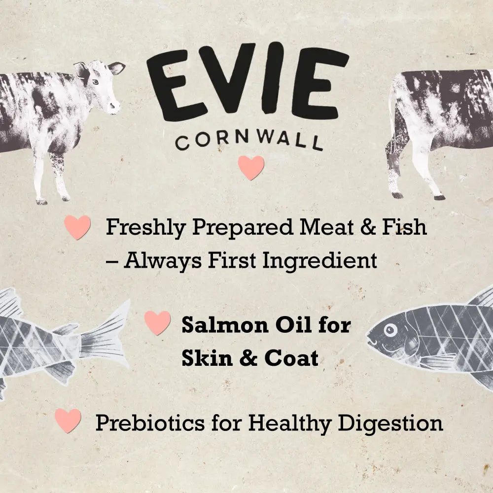 Advertisement for EVIE Cornwall pet food with text about ingredients on a textured background.