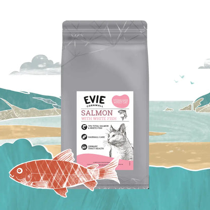 Cat food package with 'Evie' branding on a scenic background