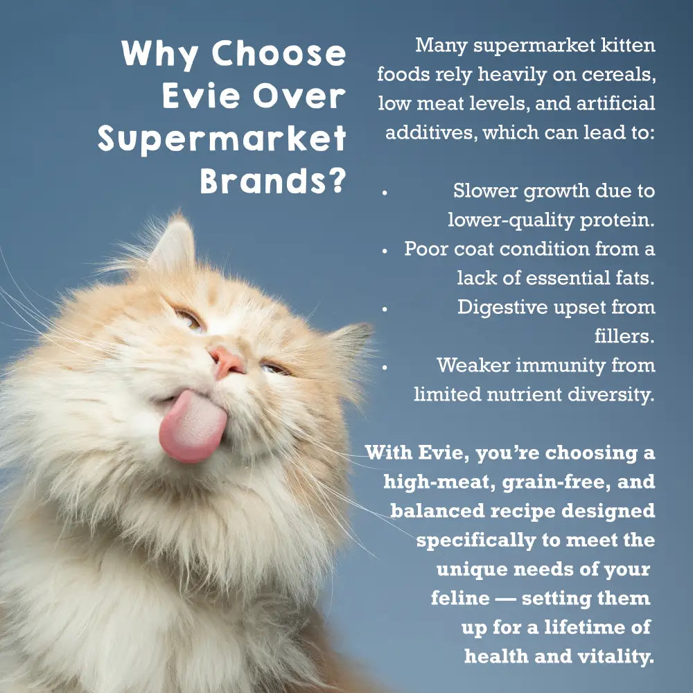 Cat with text explaining why choose Evie cat food over supermarket brands