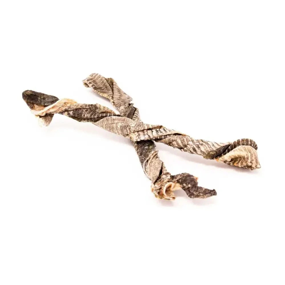 Dog chew toy with braided design on a white background