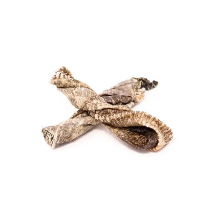 Two dried brownish plant stems on a white background