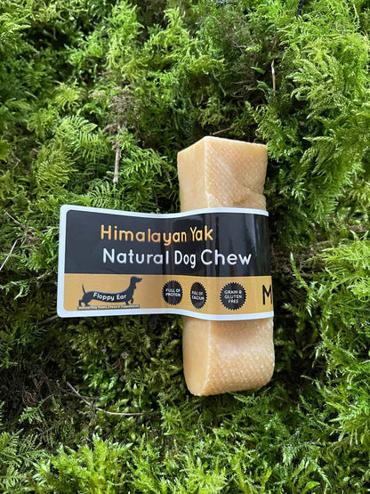Himalayan Yak Natural Dog Chew size medium on a green moss background