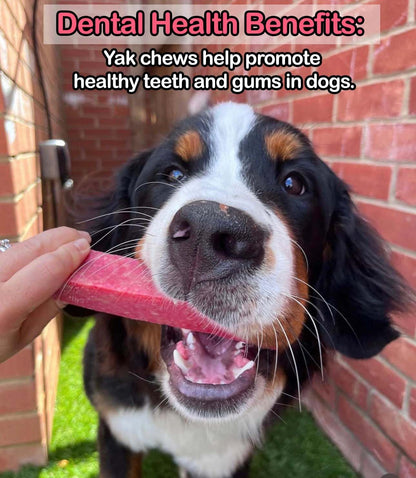 Dog chewing on a pink treat with text about dental health benefits