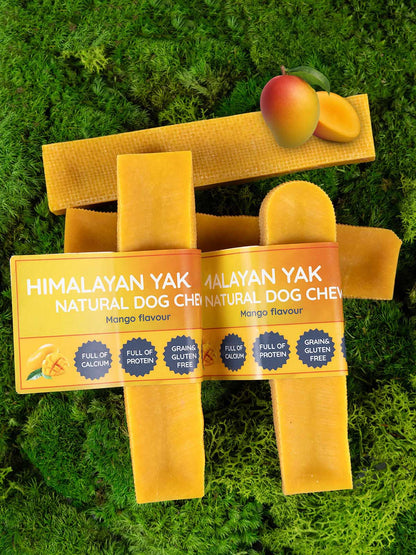 Himalayan Yak natural dog chews with mango flavour on a grass background
