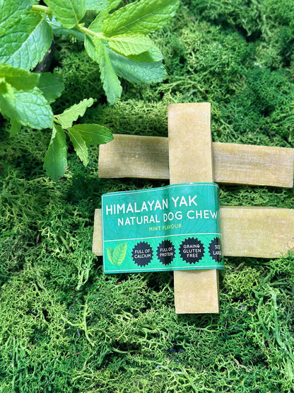 Mint flavoured Himalayan Yak natural dog chew packaging on a green leafy background