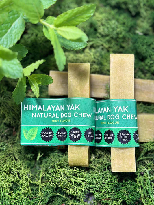 Mint flavoured Himalayan Yak natural dog chew packaging on a green leafy background
