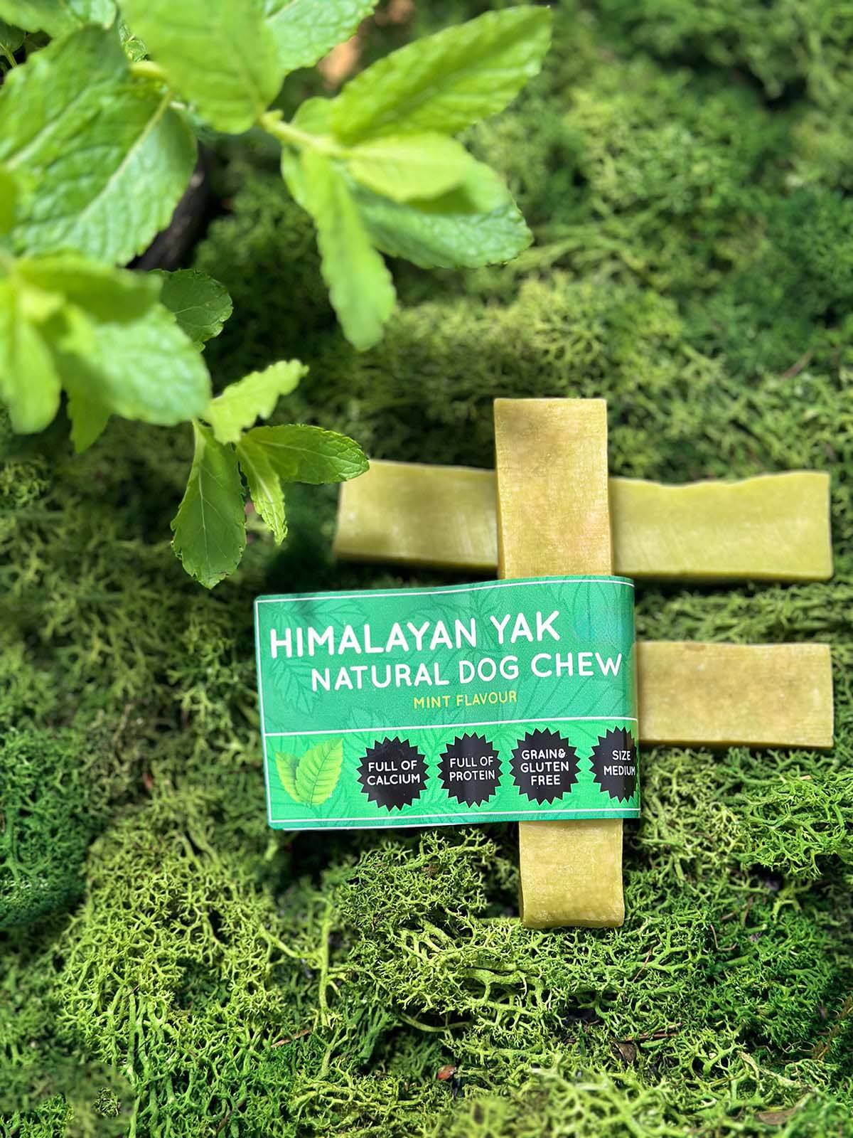 Mint flavoured Himalayan Yak Milk Natural Dog Chew packaging on a green moss background