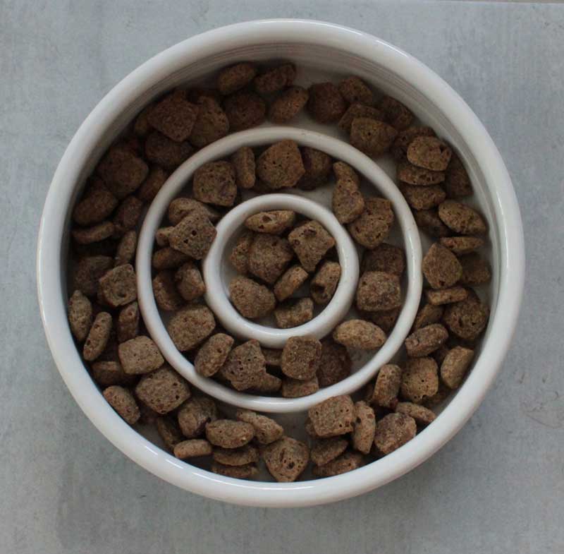 White bowl filled with brown pet food in a spiral pattern on a gray surface